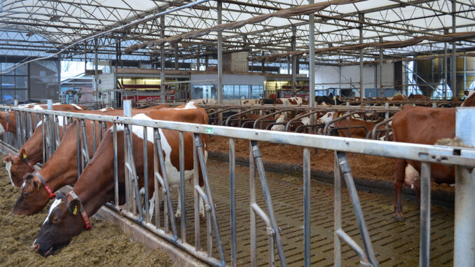 Stora utmaningar för nederländska mjölkföretagare